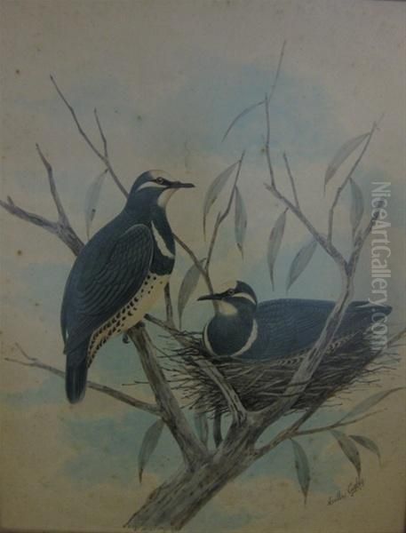 Two Birds - view 1