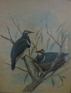 Two Birds by Neville, Will. Cayley Jnr.