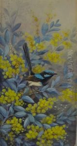 A Splendid Blue Wren In Wattle Blossom by Neville, Will. Cayley Jnr.
