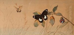 Butterflies by Neville Henry Peniston Cayley