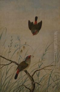 Untitled by Neville Henry Peniston Cayley