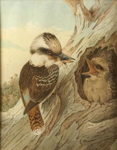 Kookaburra With Snake by Neville Henry Peniston Cayley