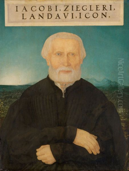 Der Humanist Jacob Ziegler (1470/1471-1549) - view 1