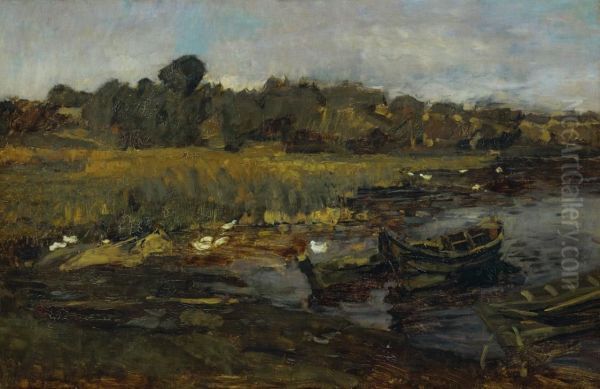 Schilflandschaft am Schwielowsee mit Enten - view 1