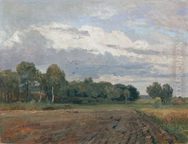 Nordische Landschaft - view 1