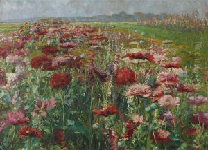 Bluhender Mohn