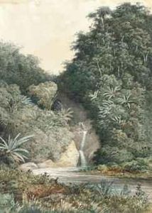 A Waterfall, Trinidad by Michel Jean Cazabon