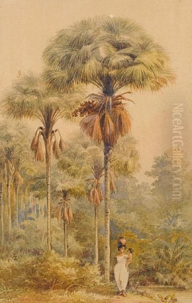 Mother And Child In The Rainforest - view 1
