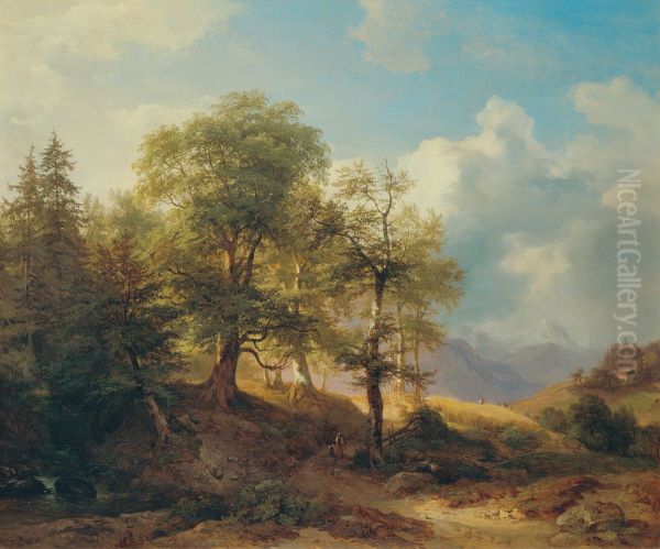 Sommerlandschaft im Hochgebirge - view 1