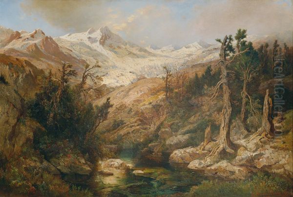 Rauriser Goldberggletscher - view 1