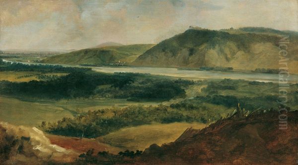 Donaulandschaft, vom Bisamberg aus gesehen - view 1