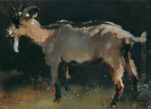 Ziege Ziege