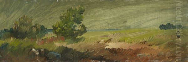 Niedersachsische Landschaft - view 1