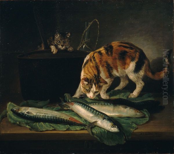 Katzen und Fische - view 1