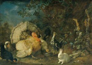Hausgeflugel und Kaninchen Hausgeflugel und Kaninchen