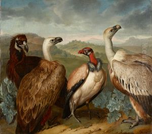 Four Vultures of Different Kind