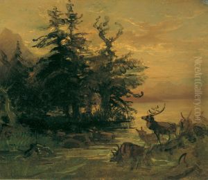 Suhlende Hirsche am Ufer eines Bergsees Suhlende Hirsche am Ufer eines Bergsees