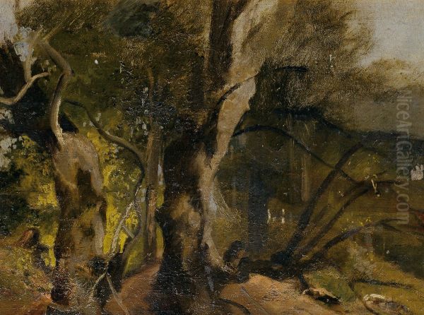 Waldstudie - view 1