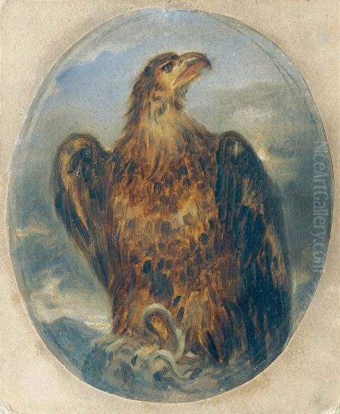 Adler - view 1