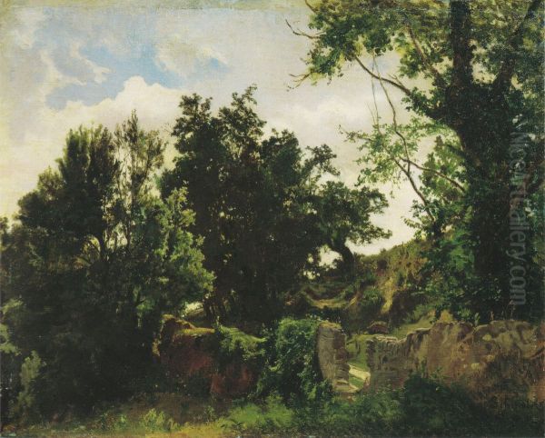 Castle wall in Plankenberg - view 1