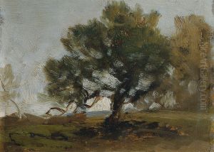 Landschaft Landschaft