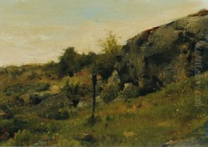Wiesenlandschaft mit Felsen