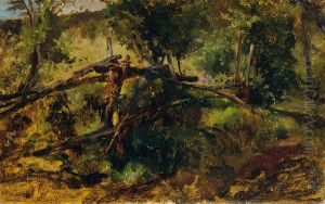 Waldweg mit Zaun