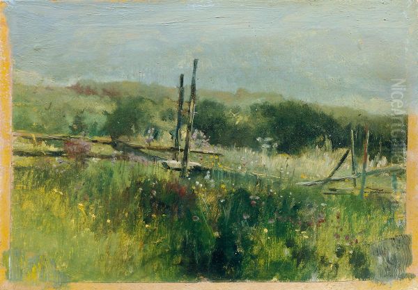 Wiese mit Zaun - view 1