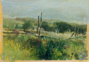 Wiese mit Zaun by Johann Till the Younger