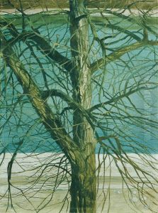 Baumstudie an der Donau by Klemens Brosch