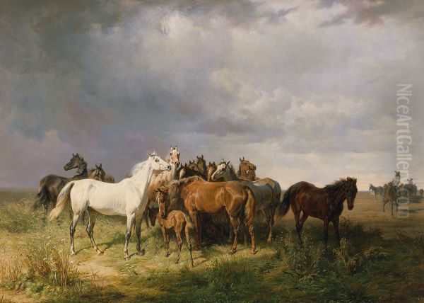 Pferde auf der Puszta - view 1