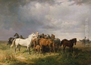 Pferde auf der Puszta Pferde auf der Puszta