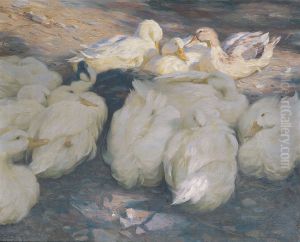 In der Abendsonne by Alexander Koester