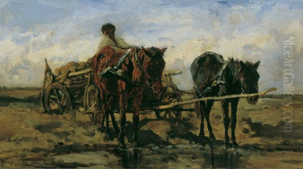 Hungarian farmer's wagon on the water - view 1