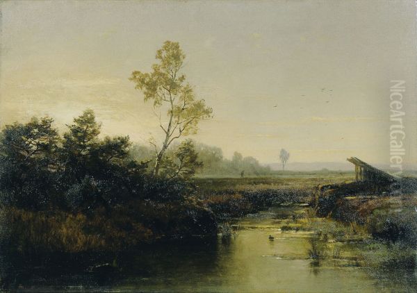 Moorlandschaft - view 1