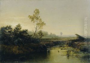 Moorlandschaft Moorlandschaft