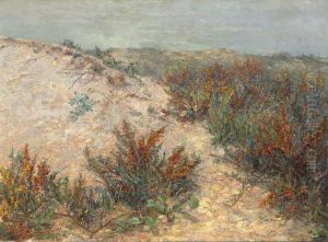 Dunen mit Stranddorn bei Knokke by Emilie Mediz-Pelikan