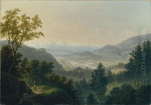 Umgebung der Ruine Habsburg