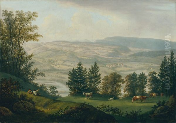 Umgebung der Ruine Habsburg - view 1
