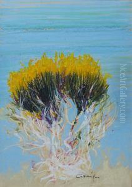 Ginestre - view 1