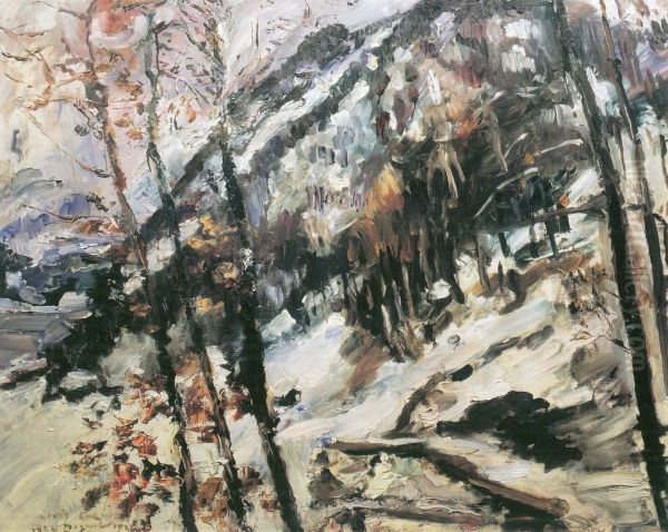 Walchensee mit Herzogstand im Schnee - view 1