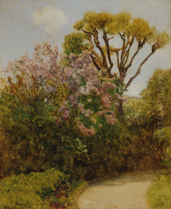 Landschaft Landschaft