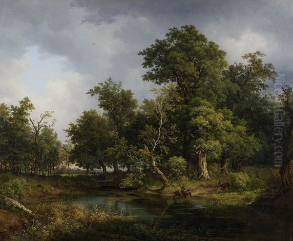 Waldlandschaft - view 1