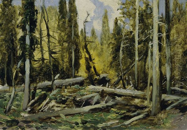 Bohmerwald (aus der Mappe ,,16 Ansichten tschechischer Landschaften 'Ceska Krajina'") - view 1