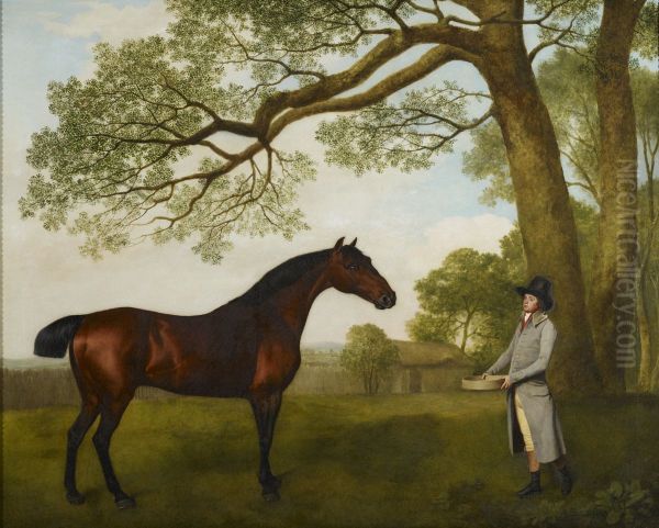 John Gascoigne (d. 1812) with a Bay Horse - view 1