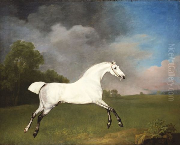 A Grey Horse - view 1