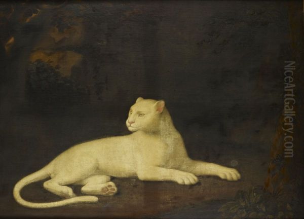 A White Leopard - view 1