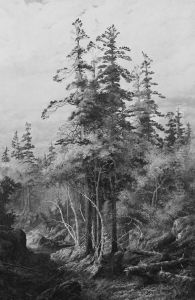 the Untrodden Wilds of Canada by Thomas Mower Martin
