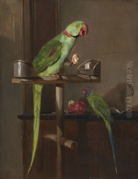 Two Parakeets - view 1