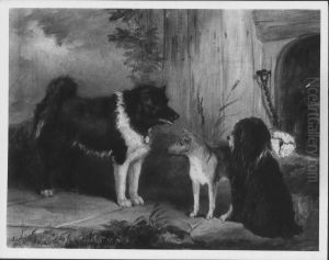 An Eskimo Dog, A Basenji from the Niger and Nelson, a Poodle by Thomas Musgrave Joy